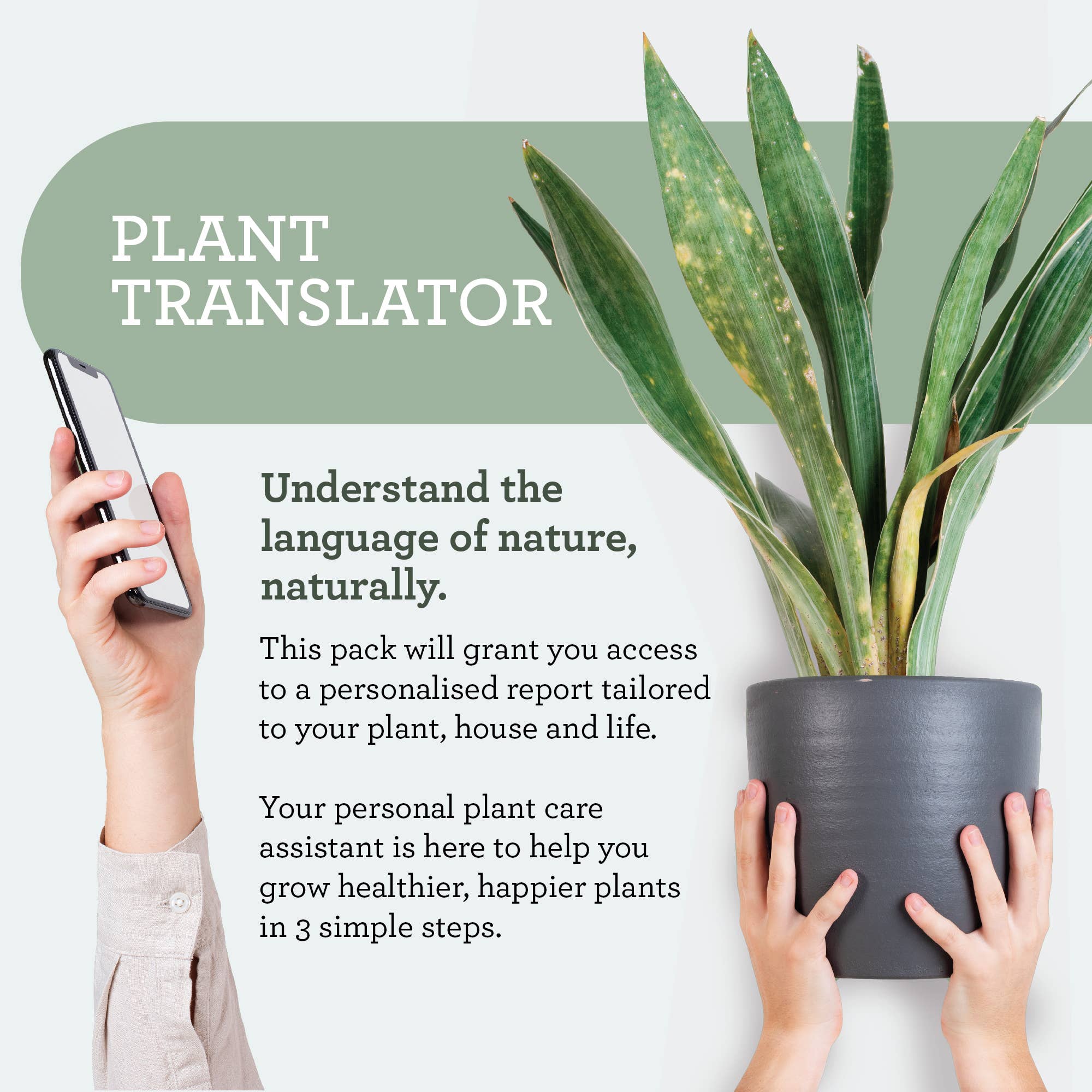 PFLANZENPFLEGE-SET | Geschenkpaket mit Pflanzenleckereien