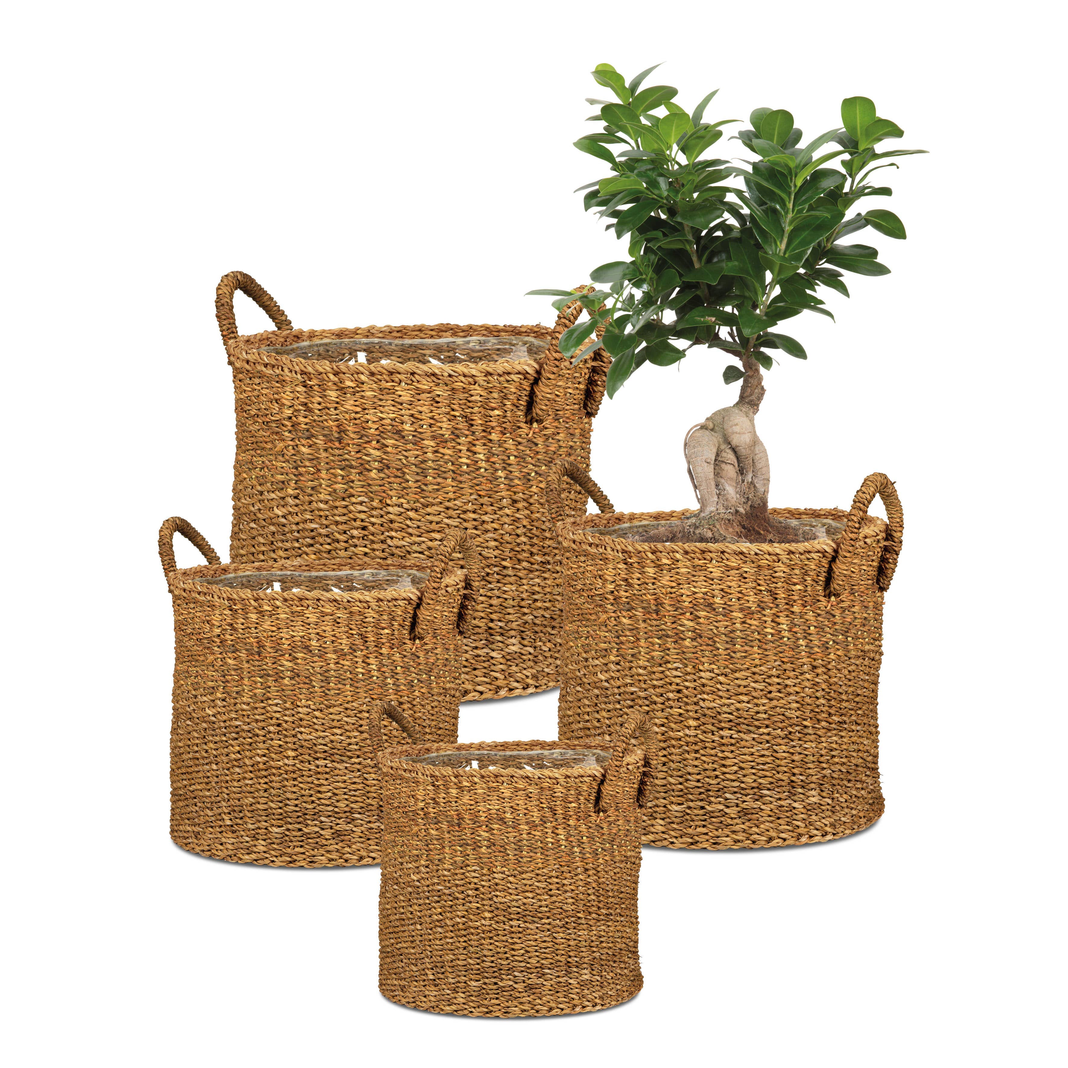 Scheurich Pflanzgefäß 516 aus Seegras