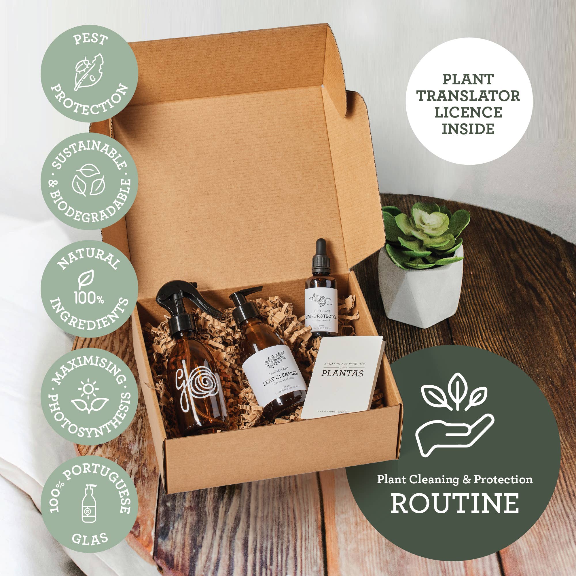 PLANT CLEAN & PROTECT SET | Plant SPA Geschenkpaket