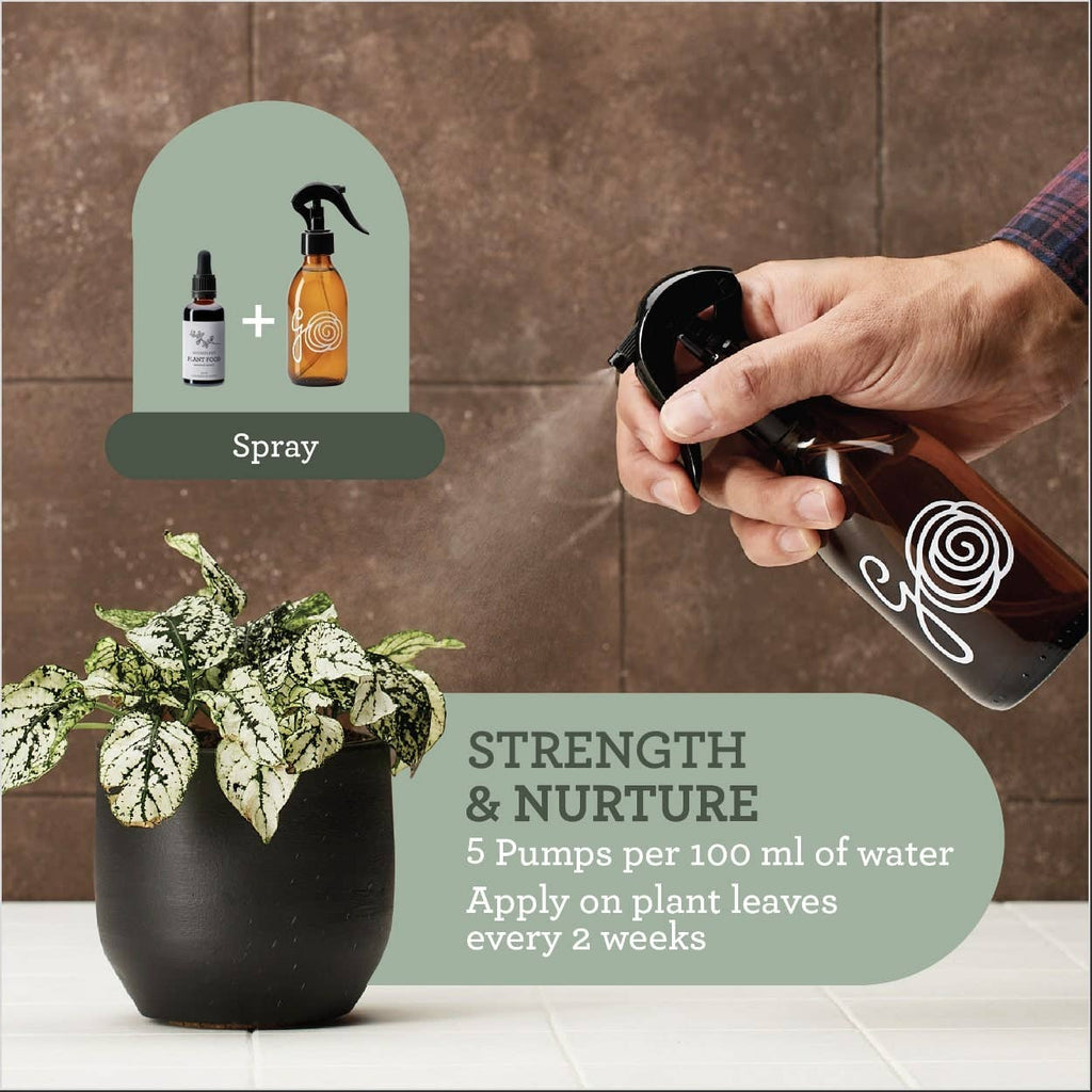 ORGANISCHER FLÜSSIGDÜNGER | Pflanzennahrung | Meeresalgenextrakt 50 ml