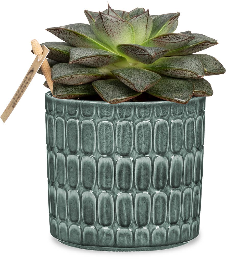 Blumentopf/Übertopf Lagom 878 aus Keramik