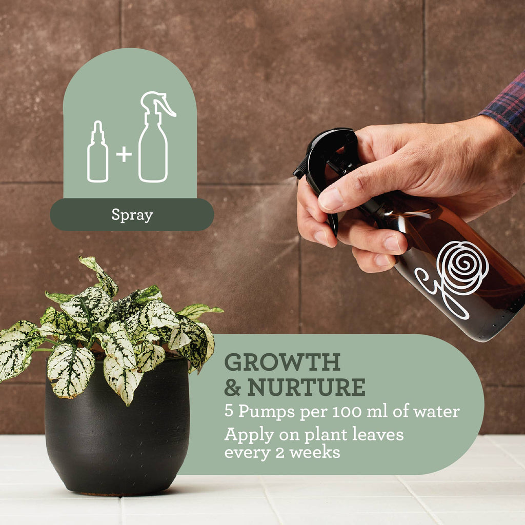 PFLANZENPFLEGE-SET | Geschenkpaket mit Pflanzenleckereien