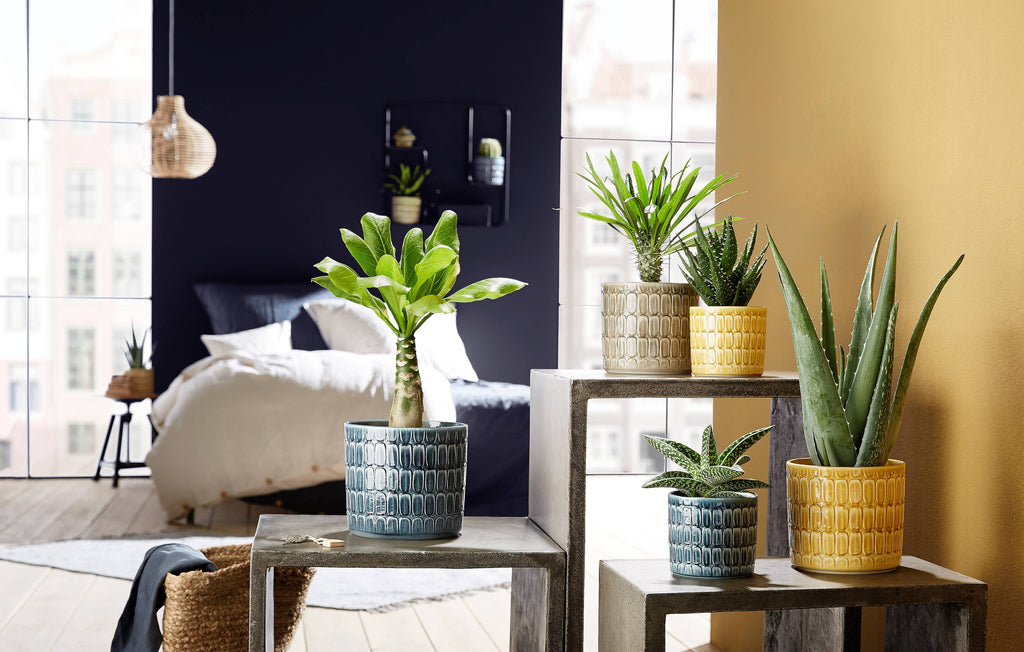 Blumentopf/Übertopf Lagom 878 aus Keramik