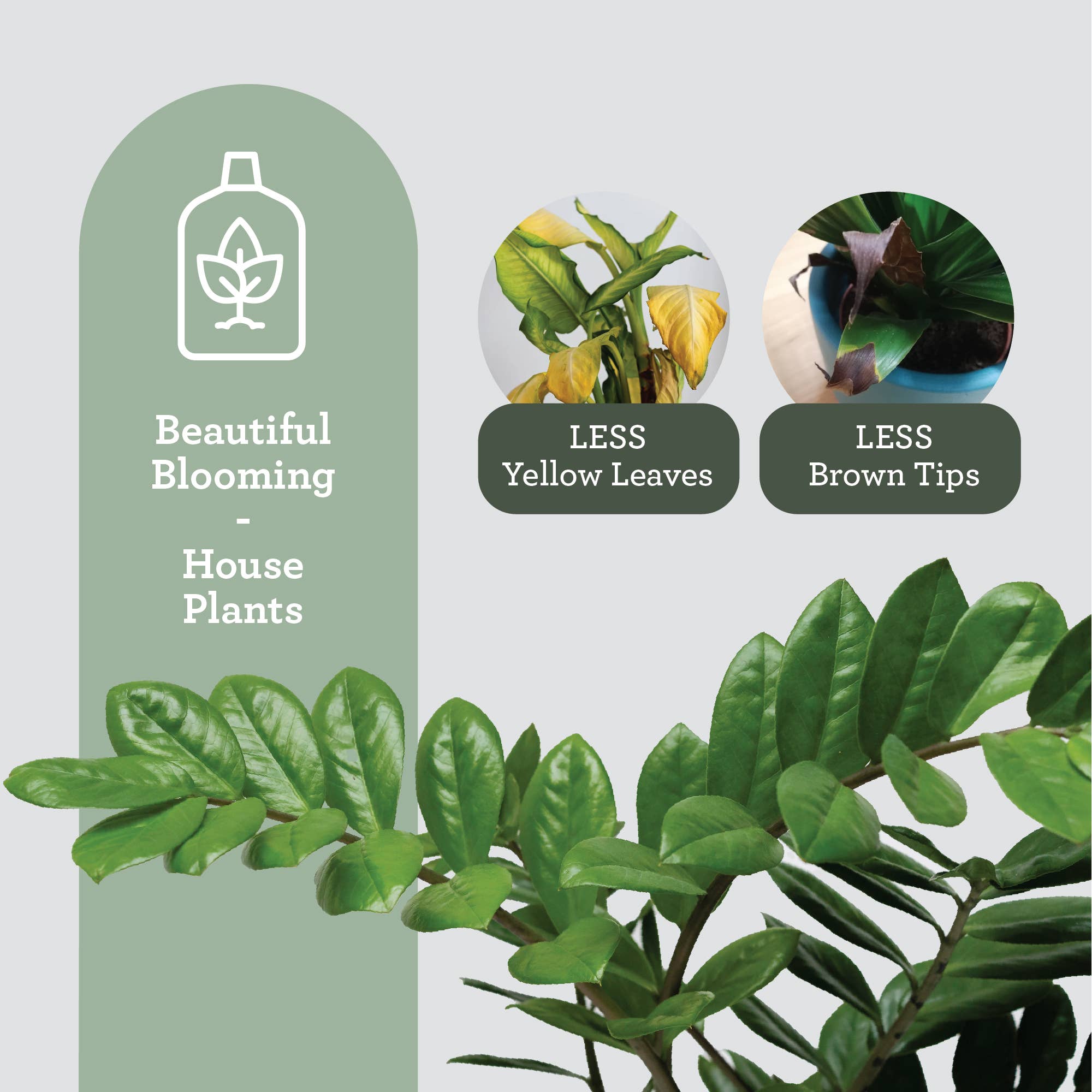 PFLANZENPFLEGE-SET | Geschenkpaket mit Pflanzenleckereien