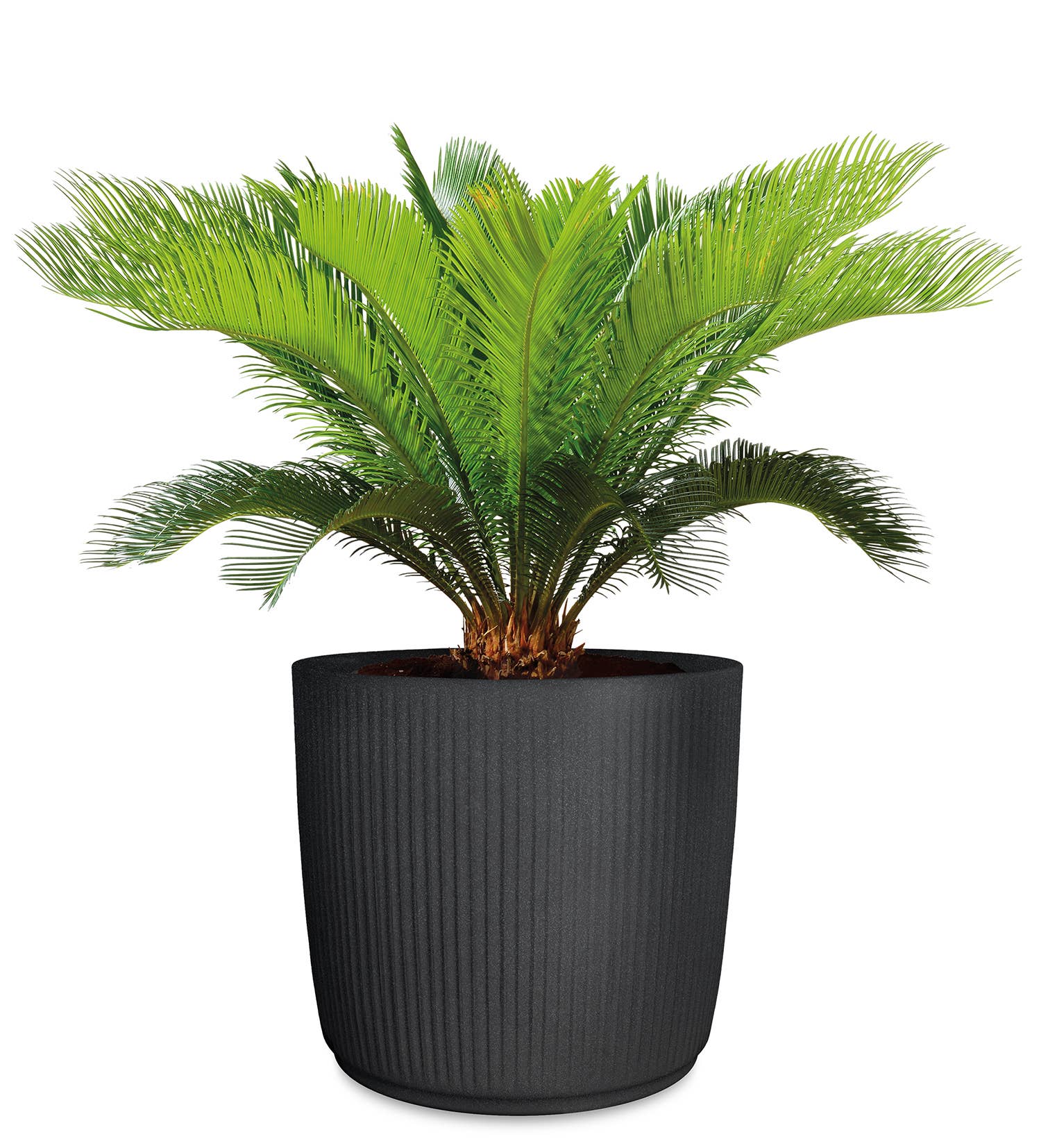 Blumentopf/Pflanzgefäß Linetto 259 aus Kunststoff