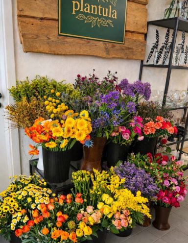 Bunte Blumenarrangements in verschiedenen Farben und Arten, präsentiert in Töpfen.