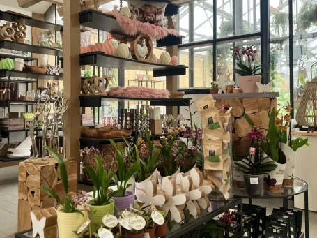 Blumenladen mit Regalen voller Pflanzen, Blumen und Dekoartikeln.