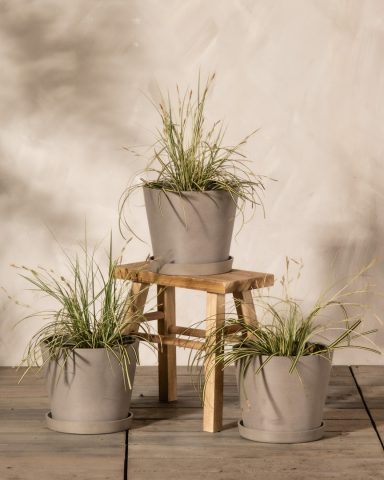 Plantula Amedorf - Outdoor Pflanzen Drei graue Blumentöpfe mit Pflanzen stehen auf einem Holzstuhl vor einer beigen Wand.
