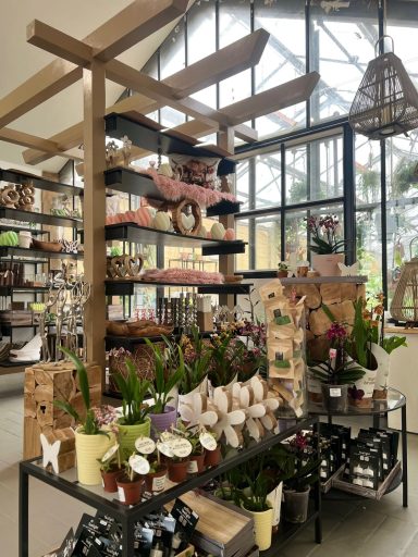 Blumenstand mit verschiedenen Pflanzen und Töpfen in einem gut beleuchteten Raum.