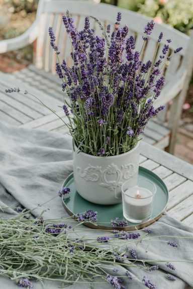 Plantula Amedorf - Outdoor Pflanzen Ein Tontopf mit Lavendelblumen auf einem Tisch, daneben eine Kerze und frische Lavendelzweige.